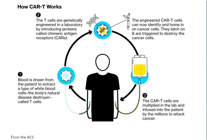 CAR-T Cell Therapy